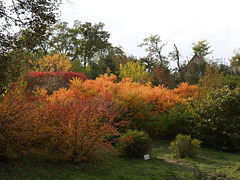 Осенние краски Софиевки / Autumn Colors of Sofiyivka Park