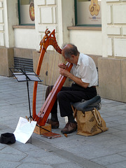 Bratislava- Harpist