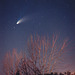 Comète Hale-Bopp/Hale-Bopp comet