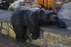 Mountain bear at Rest:)))   watching me,  but no harm in him!! :))