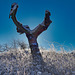 Baumruine im Schnee - Dead tree in the snow