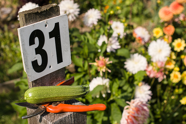 Sept 21: allotment