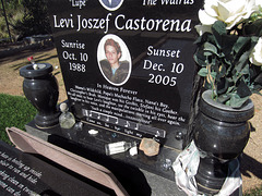 Levi Joszef Castorena - Alpine Cemetery (2762)