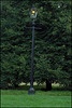 Hyde Park lamppost