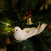 ~~~    Der Friede im weihnachtlichen Fokus    ~~~         Fröhliche Weihnachten und ein glückliches Neues Jahr euch allen! ✵