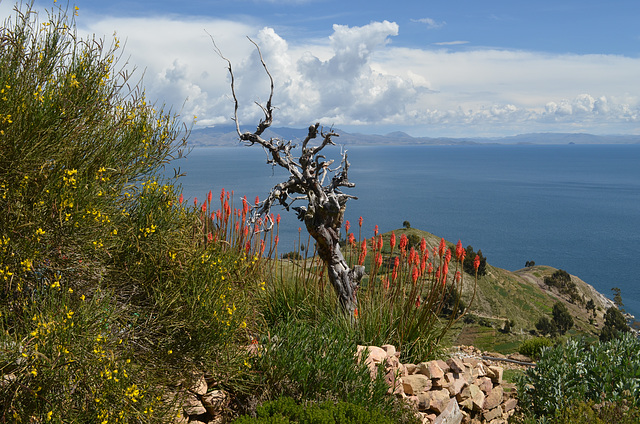 Bolivia, On the Island of the Sun in the Lake of Titicaca