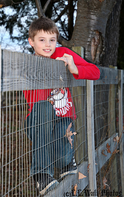 Riding the Fence ...