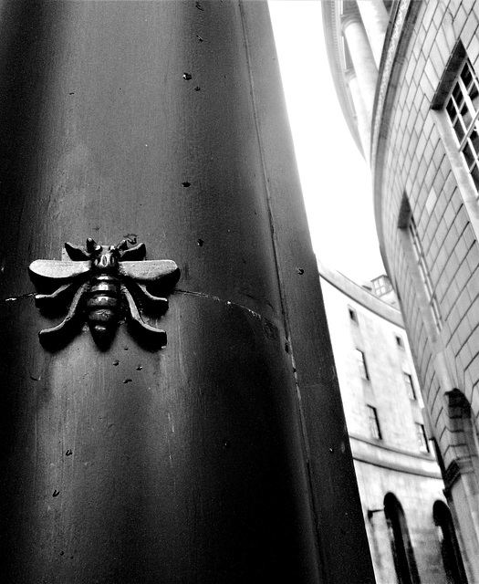 Busy Bee - The symbol of Manchester.