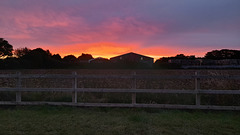 HFF Sunrise from Lincolnshire