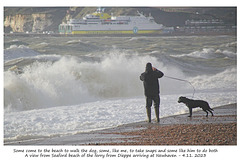 Snap and walk the dog - Why not? - Seaford beach 4 11 2023