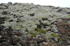 Iceland, The Plain of Mýrdalssandur, Lichen on the Stones