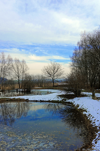 Neeracherried im Winter (© Buelipix)