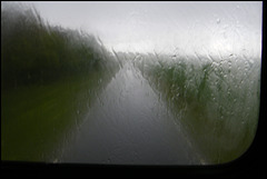 driving rain