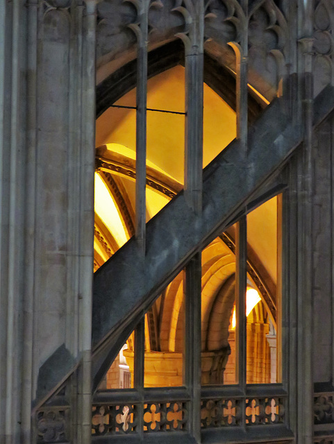gloucester cathedral (439)