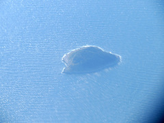 Île dalmate
