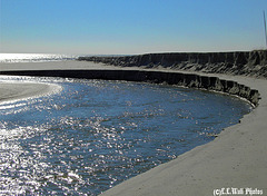 Swale Outflow Cuts Curves Through the Beach Dunes