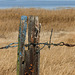 Fence post with a difference