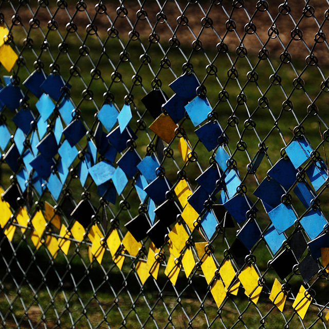 A Fence for Friday ;-)