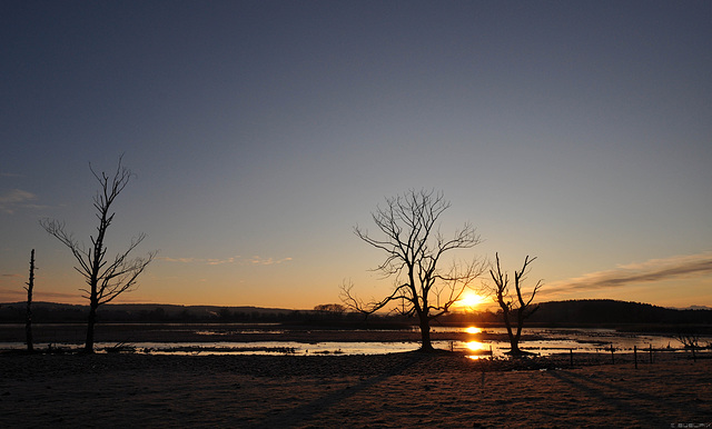Sonnenaufgang im Neeracherried - Januar 2010 (© Buelipix)