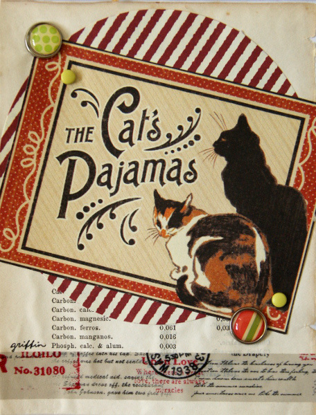 Cat's pajamas