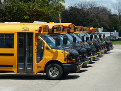 School Buses in Etobicoke (1) - 24 June 2017