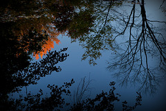 Autumn Flame Reflected