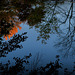 Autumn Flame Reflected