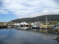 Un petit port Terre-Neuvien