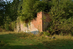 Walled Garden, Stoke Edith House (Demolished), Herefordshire