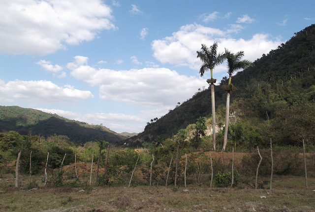 Campagne cubaine / Cuban country landscape