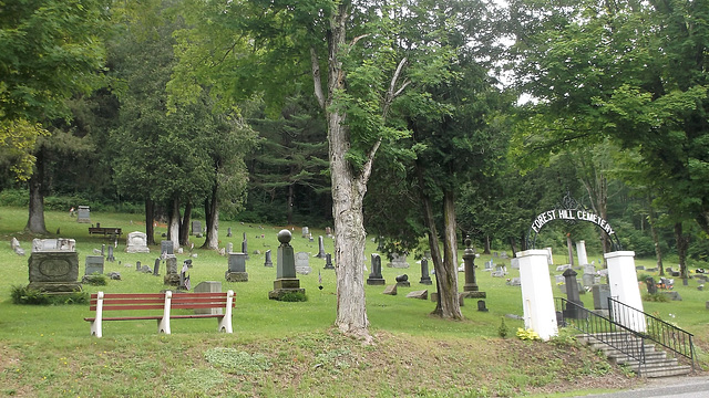 Forest hill cemetery