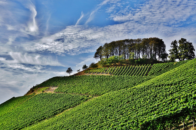 Der Casteller Schlossberg - The castle hill of Castell