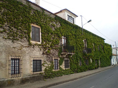 Azinhaga House.