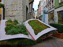 Ein riesiges Kräuterbuch - A huge herbal book