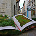 Ein riesiges Kräuterbuch - A huge herbal book