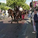 Kutschenparade in Sluis