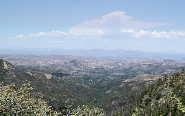 Gila National Forest NM Emory Pass (# 0813)