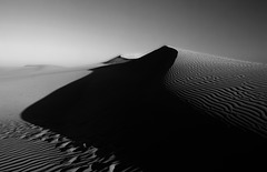 Wandering Dunes