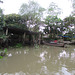 En barque Delta du Mékong (18)