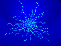 Chihuly Light