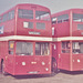 SELNEC PTE 3625 (UNB 625) and 3629 (UNB 629) in Rochdale - Oct 1972
