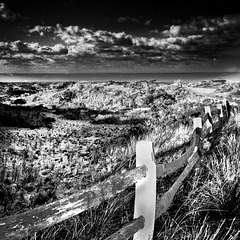 fence to the sea