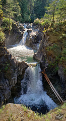 Outrageously Lovely Little Qualicum Falls! (Set 1 of 2) (+4 insets!)