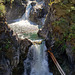 Outrageously Lovely Little Qualicum Falls! (Set 1 of 2) (+4 insets!)
