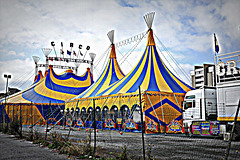 fenced circus
