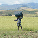 Ethiopian Peasant