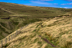 The path above Crooked Clough  ( Bleaklow)
