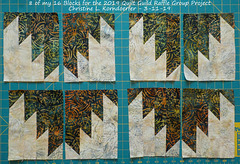 8 of my 16 Blocks for 2019 Quilt Guild Raffle Quilt Group Project - 3-11-19 -pic2