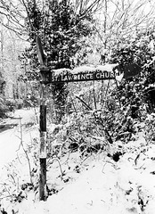 Sign in the snow