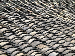 Chinese Roofing